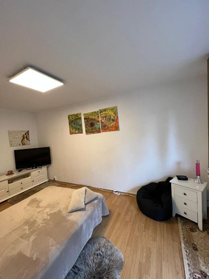Apartment Apartament Cu O Camera In Zorilor ! *