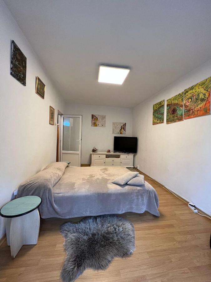 Apartment Apartament Cu O Camera In Zorilor ! *