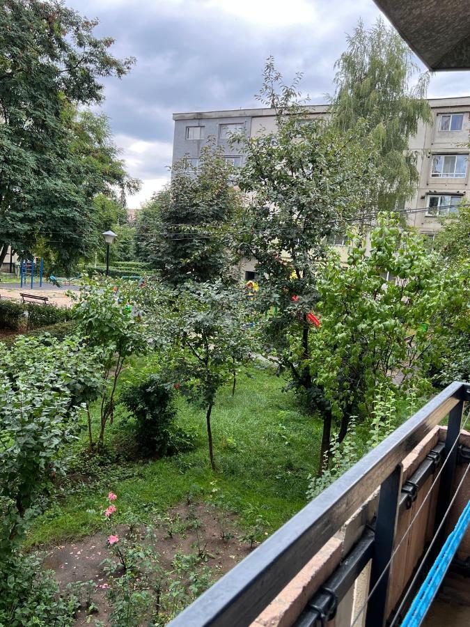 Apartament Cu O Camera In Zorilor ! Apartment