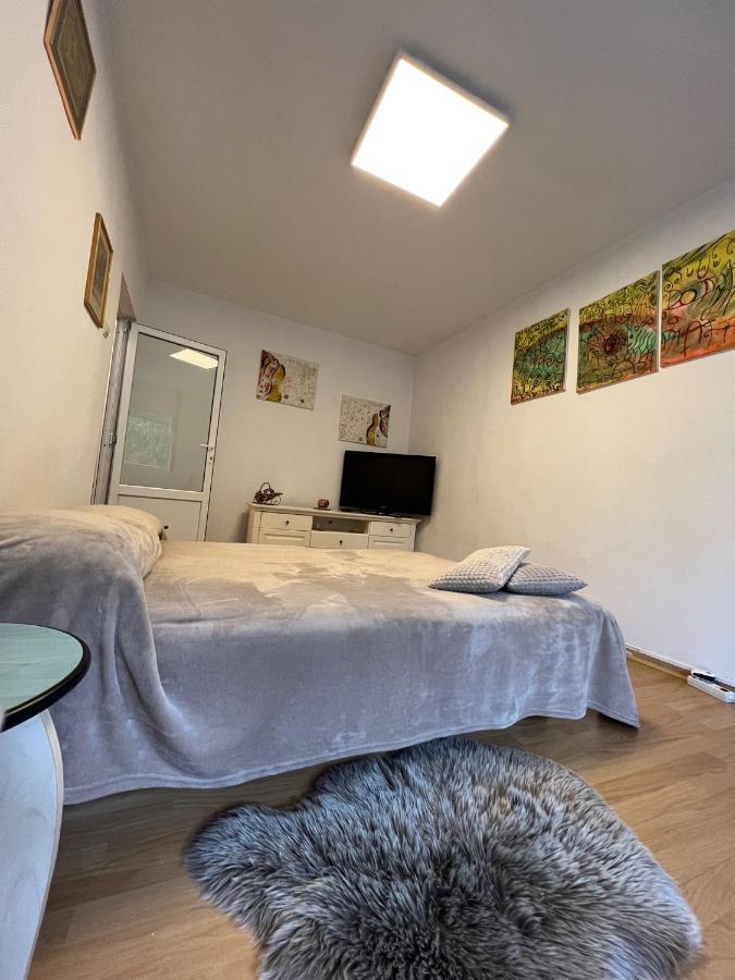 Apartment Apartament Cu O Camera In Zorilor ! Cluj-Napoca